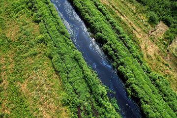 Fototapeta na wymiar Aerial view of a small river in the middle of a green field in the wilderness. Agricultural plantations in the village. River in the wild. Wildlife concept