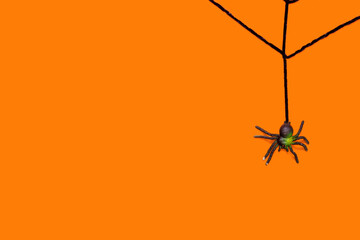 Black toy spider on artificial web on an orange background. Scary halloween flat lay composition on an orange background with copy space. Halloween decoration concept