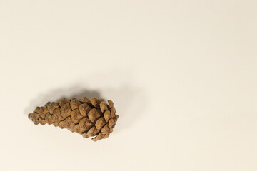 Fototapeta premium Pine Cone in lower left corner against white background