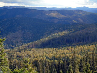 Fototapeta premium Autumn in the mountains