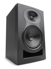 Obraz premium audio monitor speaker path isolated on white