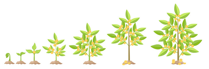 Money Tree Growth, Capital Gain Business Concept. Time Line from Small Green Sprout to Big Plant with Golden Coins