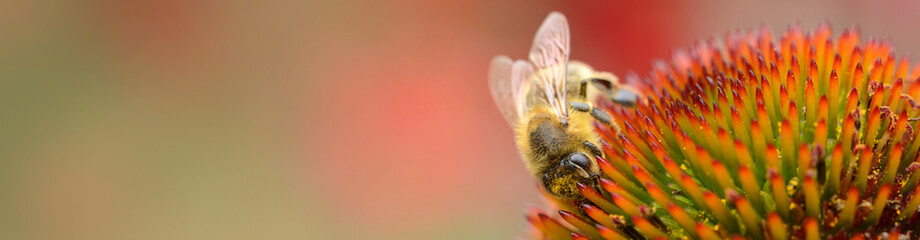 Garten 1232 © K.-U. Häßler