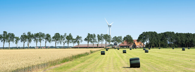 farm and fields with wind turbine in wieringermeer under blue sky in the netherlands  noord holland