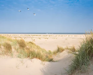 Papier Peint photo Lavable Mer du Nord, Pays-Bas dunes et plage sur l& 39 île néerlandaise de texel aux beaux jours avec ciel bleu