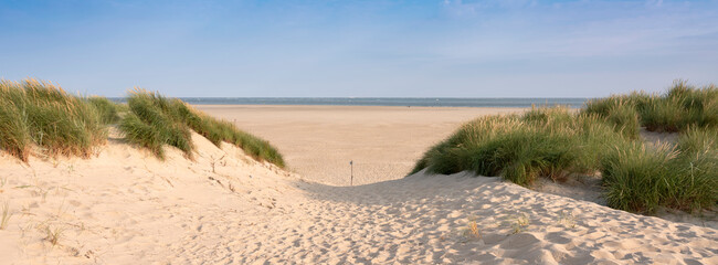duinen en strand op het Nederlandse eiland texel op zonnige dag met blauwe lucht