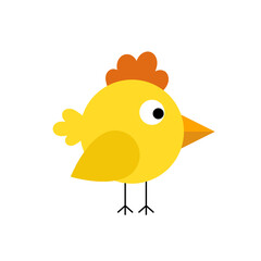 Chicken baby isolated on white. Cute little bird illustration in flat style