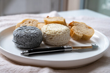 Cheese collection, french goat cheese crottin served with french bread