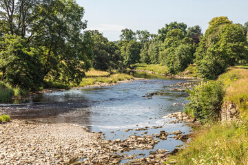 river in the woods