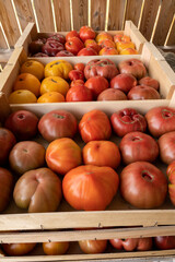 Tasty big ripe french tomatoes in wooden boxes on farmers market in Provence