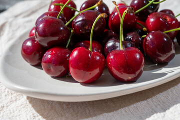 New harvest of fresh ripe dark red cherry berry in Provence, France
