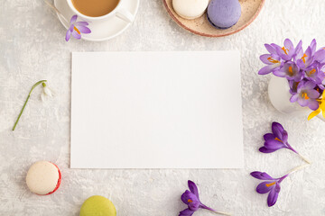 White paper sheet mockup with spring snowdrop crocus flowers and multicolored macaroons on gray concrete background. top view, copy space.