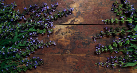 sage flowers on a dark wood background. Creative composition. fragrant sage flowers give the...