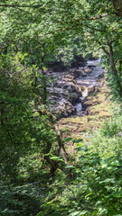 Leafy Gorge