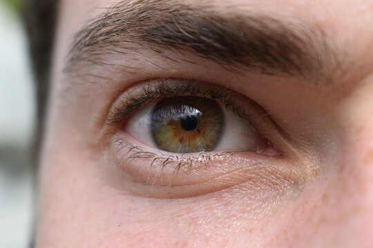 ojo de cerca verde