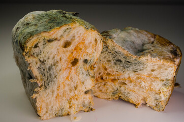 
A piece of bread in the mold, lies on a white table