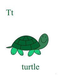 The alphabet, the letter t. A smiling green turtle on a white isolated background