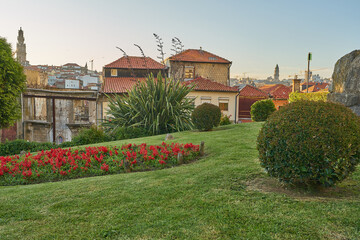 Fototapeta na wymiar Garden of Cathedral of Porto, Portugal