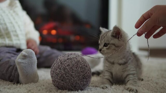 baby playing with cat. tomcat on carpet near burning fireplace at home comfort. striped kitten play with ball of thread. kitty run looking at camera. happy adorable pet, childhood, wild nature concept