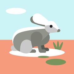Rabbit hare, vector illustration. A hare with big ears. Emblem sign for shops and markets. Animal husbandry, aesthetic picture for a postcard, a poster, a signboard.