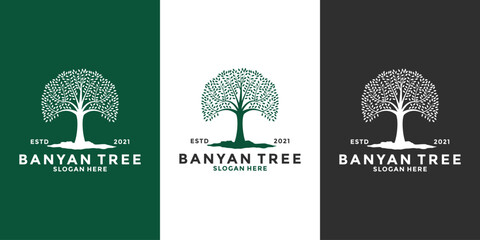 bundle banyan tree logo design template vintage style
