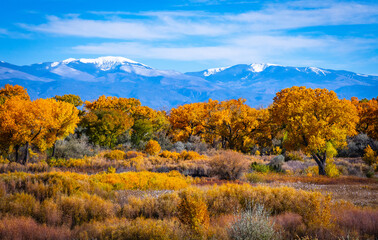 Autumn Landscape of the Sangre de Cristo Mountains in New Mexico - obrazy, fototapety, plakaty