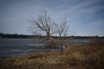 Lake Josephine in Very Early Spring