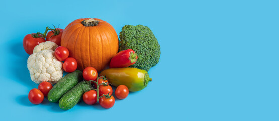Autumn vegetables set. Pumpkin, broccoli, cauliflower, peppers, cucumbers and tomatoes on a blue background. Banner. Space for text.
