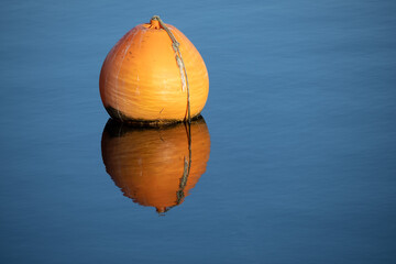 Orange buoy with reflection in the blue calm water of a lake, concept for relaxation, take a break and leisure activity, copy space