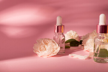 Essential rose oil in cosmetic bottle near fresh rose flowers against pink background.