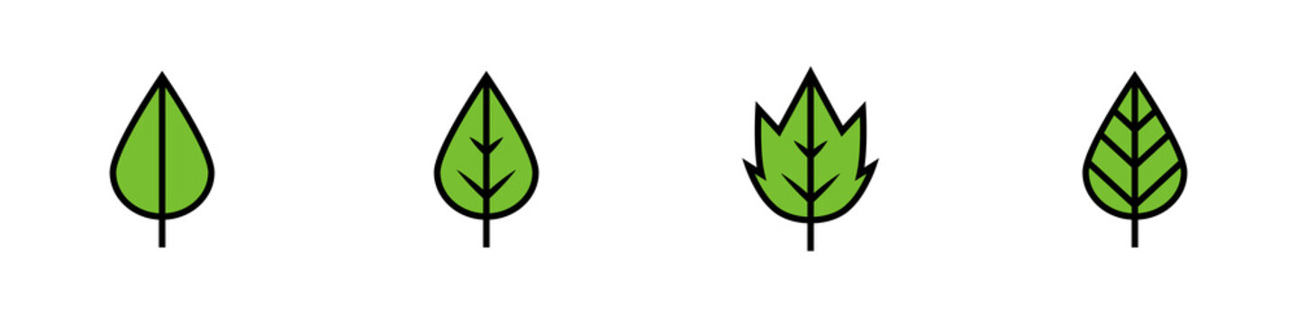 Conjunto de icono de hoja de planta o &aacute;rbol verde. Concepto de naturaleza. Ilustraci&oacute;n vectorial