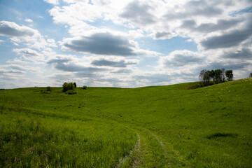 Obraz premium landscape