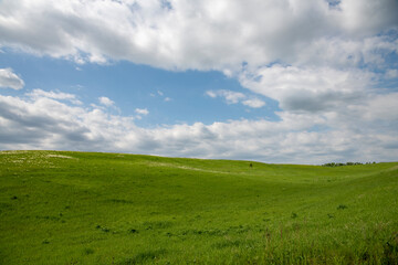 green field and blue sky