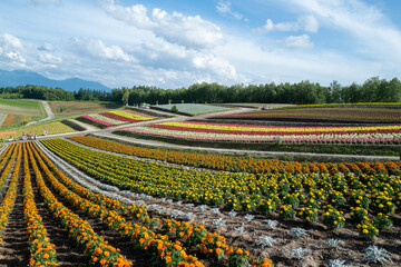 北海道の自然のある風景  Landscape with nature in Hokkaido 