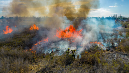 Fototapeta premium Firefighters put out a fire in the forest. Aerial view.