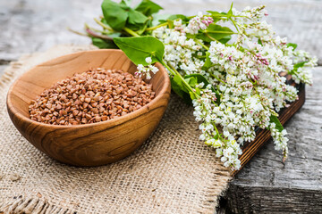 Transparent jar for loose products with dry buckwheat.