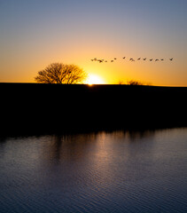 sunrise on the riverbank