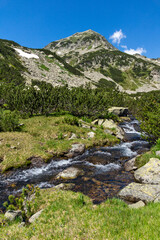 Fototapeta na wymiar Mountain river and Muratov Peak, Pirin Mountain, Bulgaria