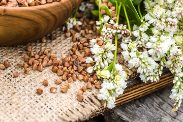 Dry uncooked buckwheat in wooden plate. Food for raw food and vegans. Ingredient for healthy food for weight loss.