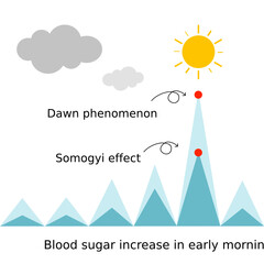 Dawn phenomenon and Somogyi effect in early morning in diabetes patient