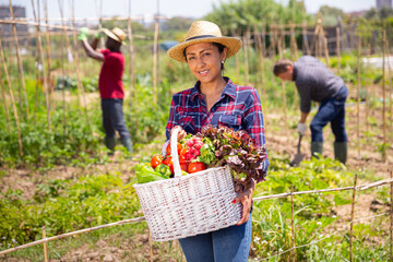 Fototapeta premium Happy latino farmer with basket of ripe vegetables in the garden