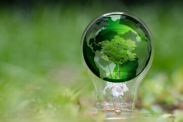Light bulb save world and ecology, light bulb on green grass background 
