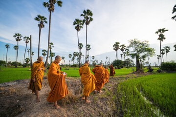 buddhist novice and monk going to village for recieving food from people
