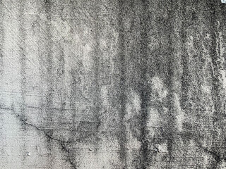Obraz premium Cement wall background texture. An old gray wall with black cracks and white paint stains.
