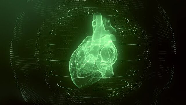 Anatomically correct green digital human heart seamless loop. Futuristic particle cardiac computer tomography scan with rotation looping 3D render. MRI future, disease, health and medical concept