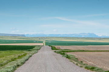 Naklejka premium Rolling hills of Montana