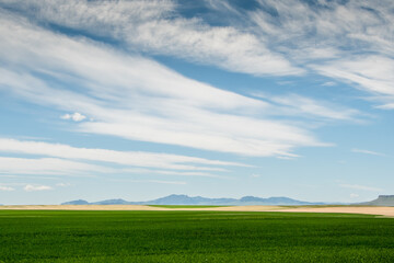 Fototapeta na wymiar Montana fields