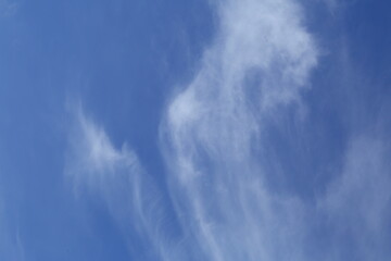 Bright blue sky background.