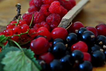 Heap of set of mixed assorted fresh juicy ripe berries red and black currants, cherries close up on blurred background of raspberries in wooden tray on the table. Selective focus