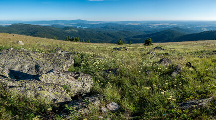 Fototapeta na wymiar beautiful scenic nature views at spokane mountain in washington state
